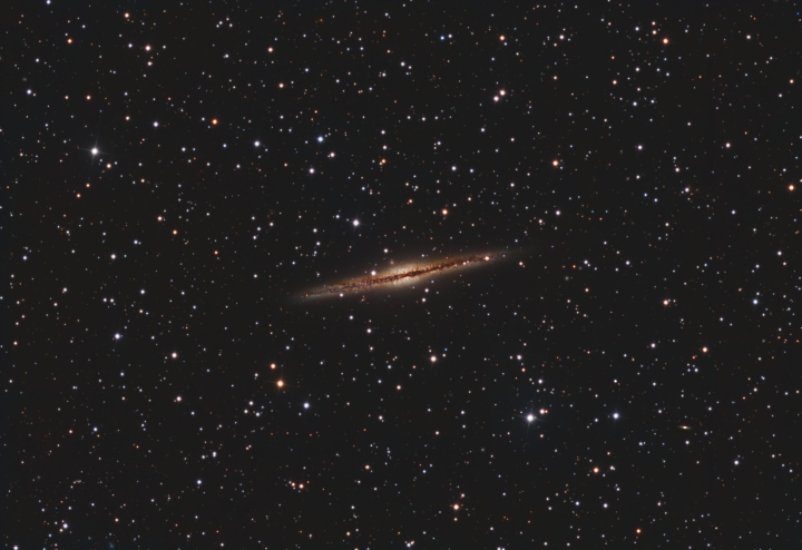 NGC891
